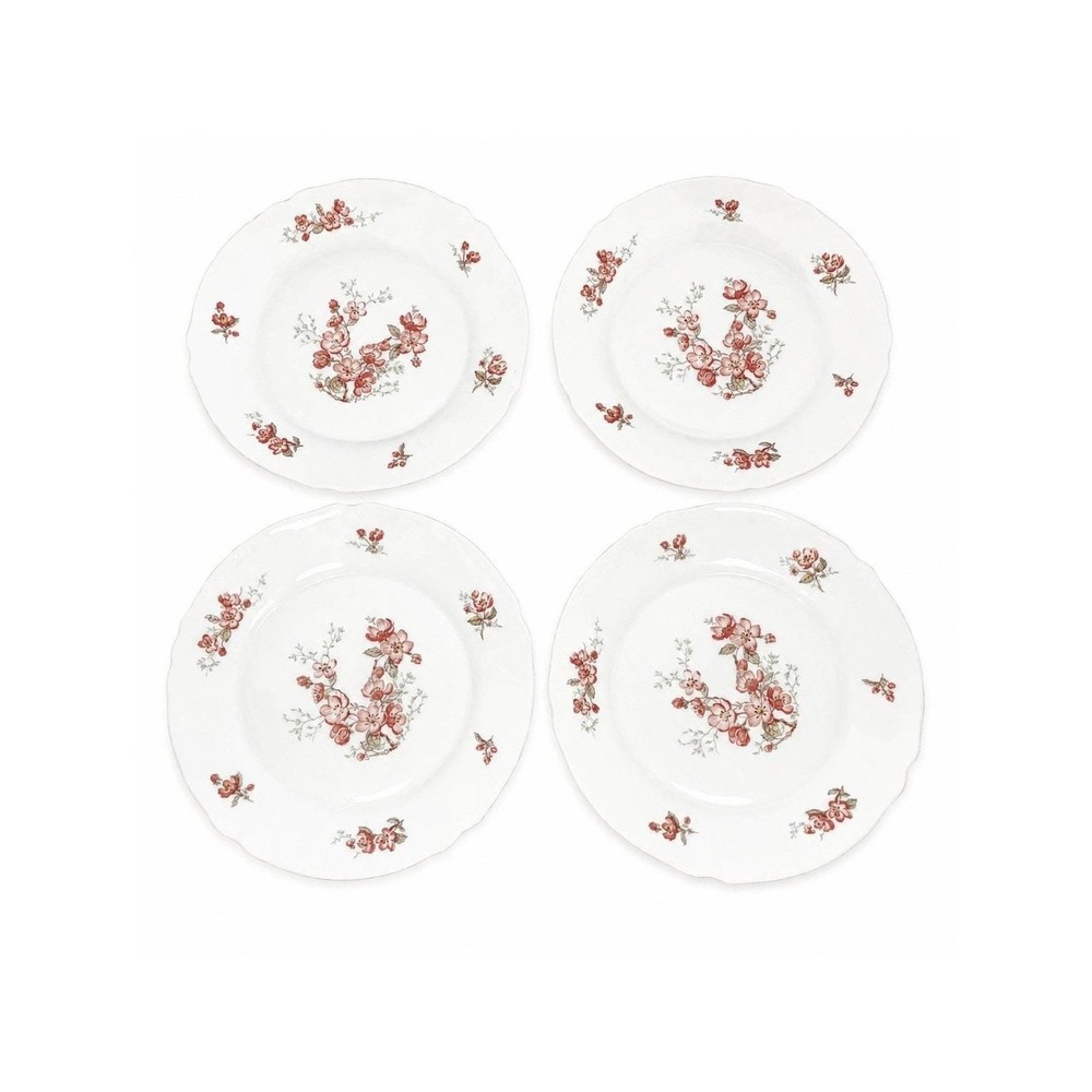 Arcopal France Dinner Plates Women 10.25in White Pink Apple Blossom Floral Set 4
